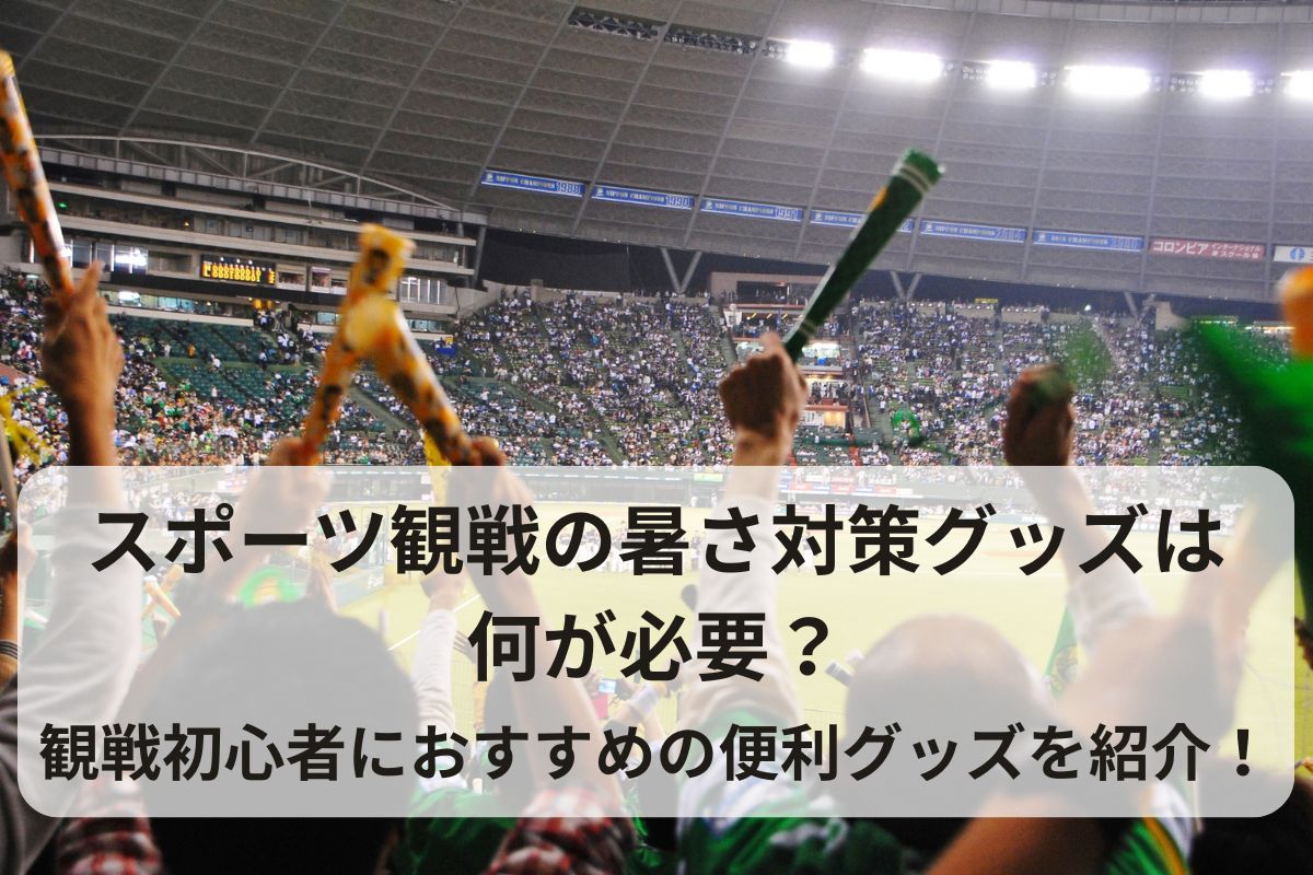 観戦初心者におすすめの便利グッズを紹介！
